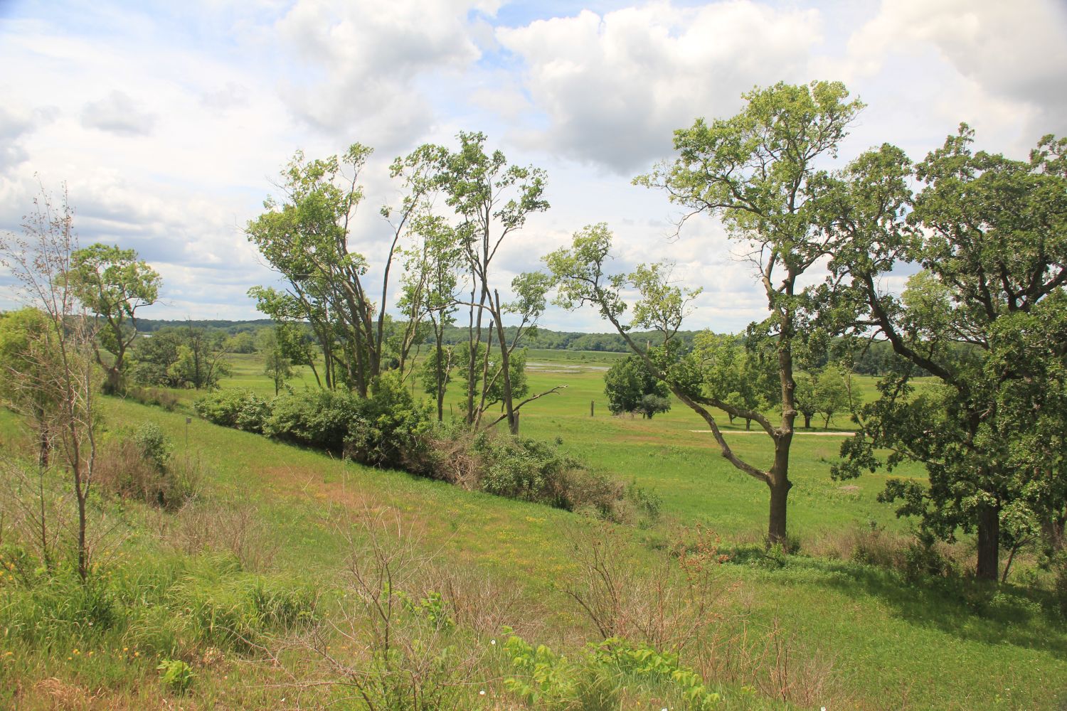 Badger Park Trail 